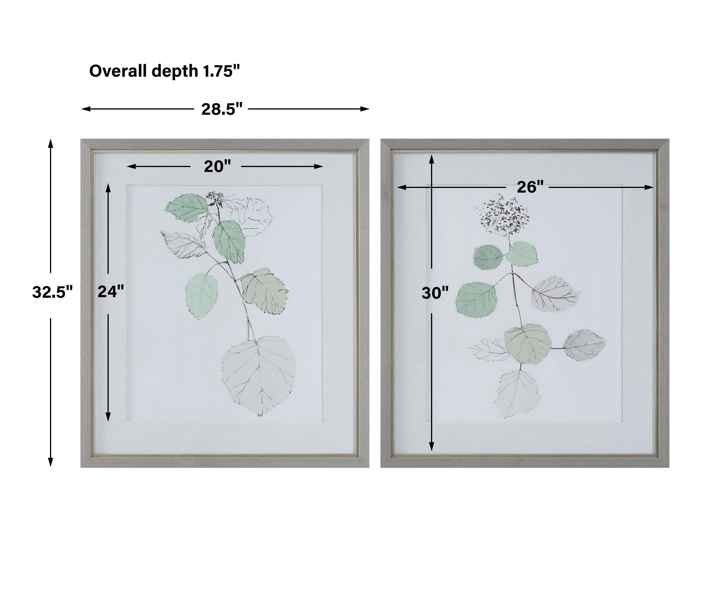 Uttermost Come What May Botanical Framed Prints- Set of 2
