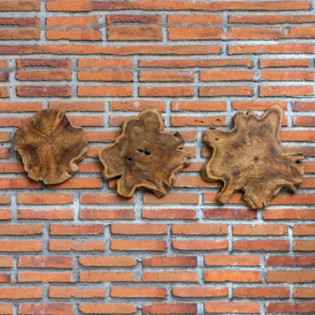 Kalani Teak Wall Art (Set of 3)