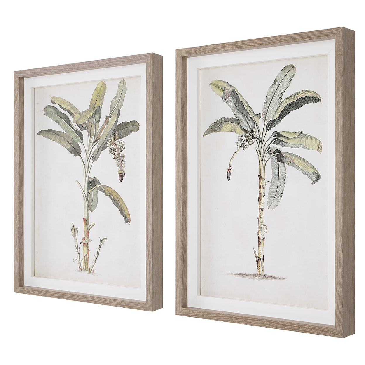 Uttermost Banana Palm Banana Palm Framed Prints Set/2