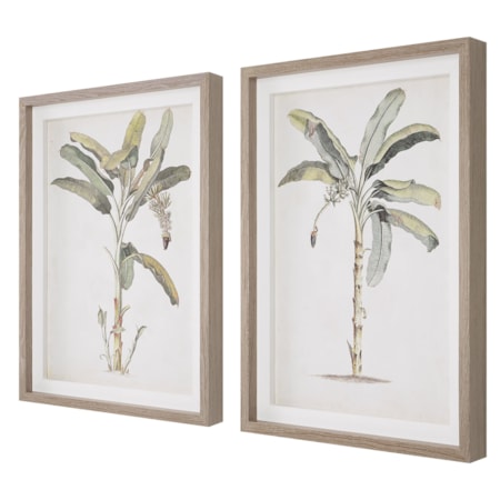 Banana Palm Framed Prints Set/2