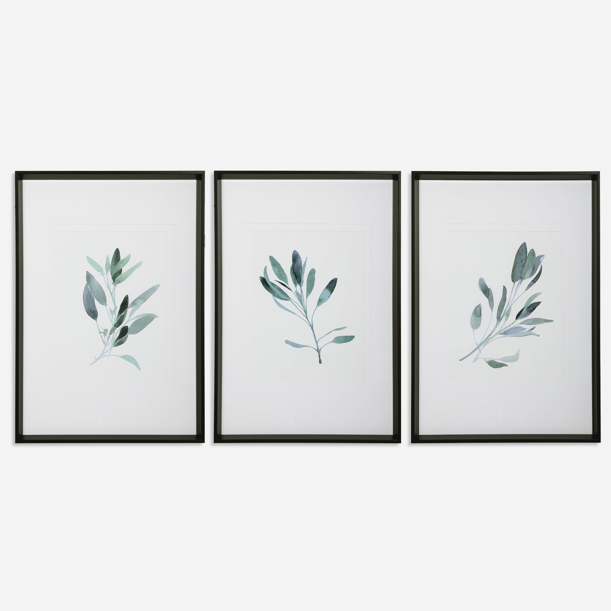 Simple Sage Watercolor Prints S/3