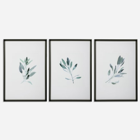 Simple Sage Watercolor Prints S/3