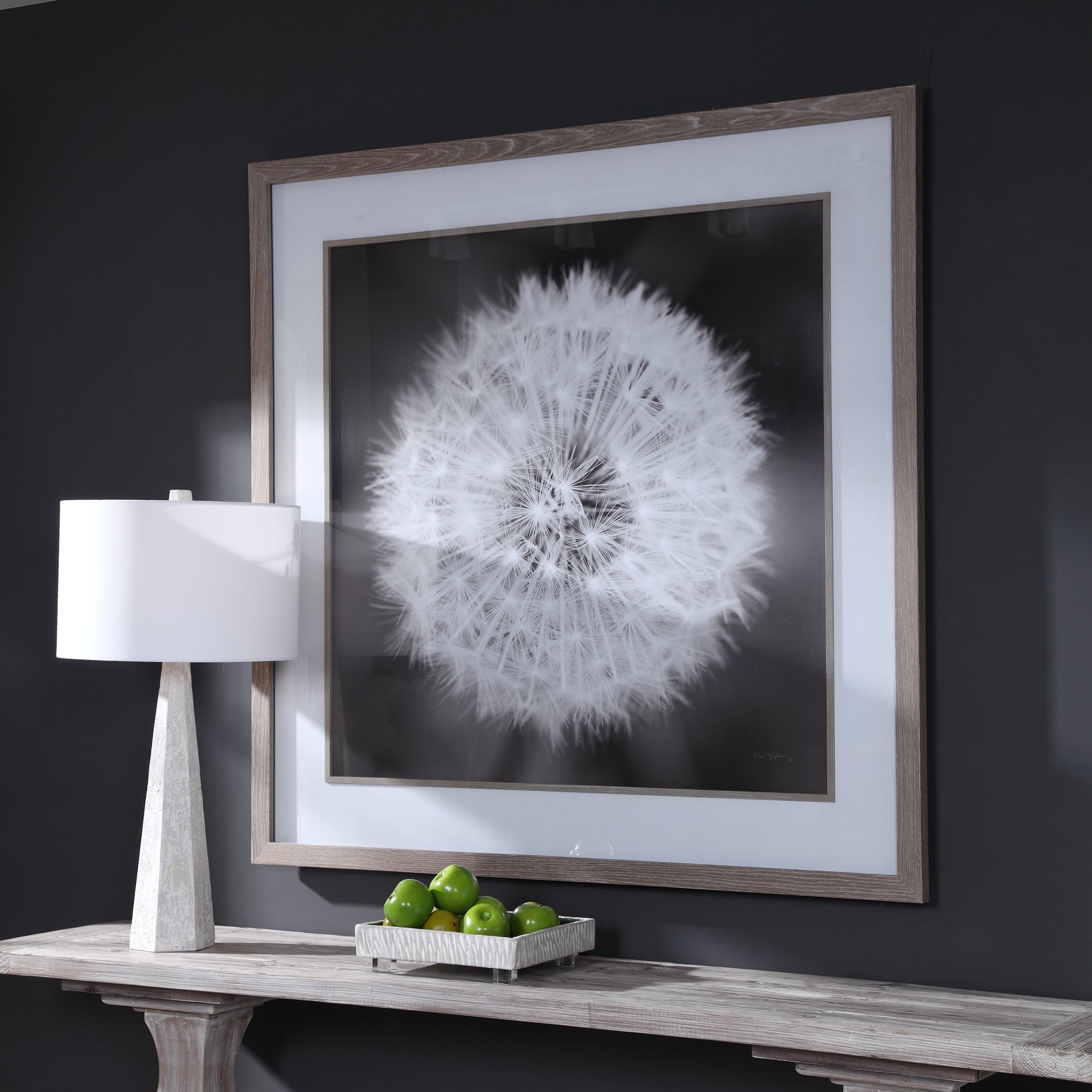 Uttermost Framed Prints Dandelion Seedhead Framed Print