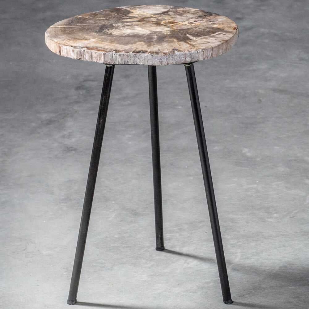 Uttermost Accent Furniture - Occasional Tables Mircea Petrified Wood Accent Table