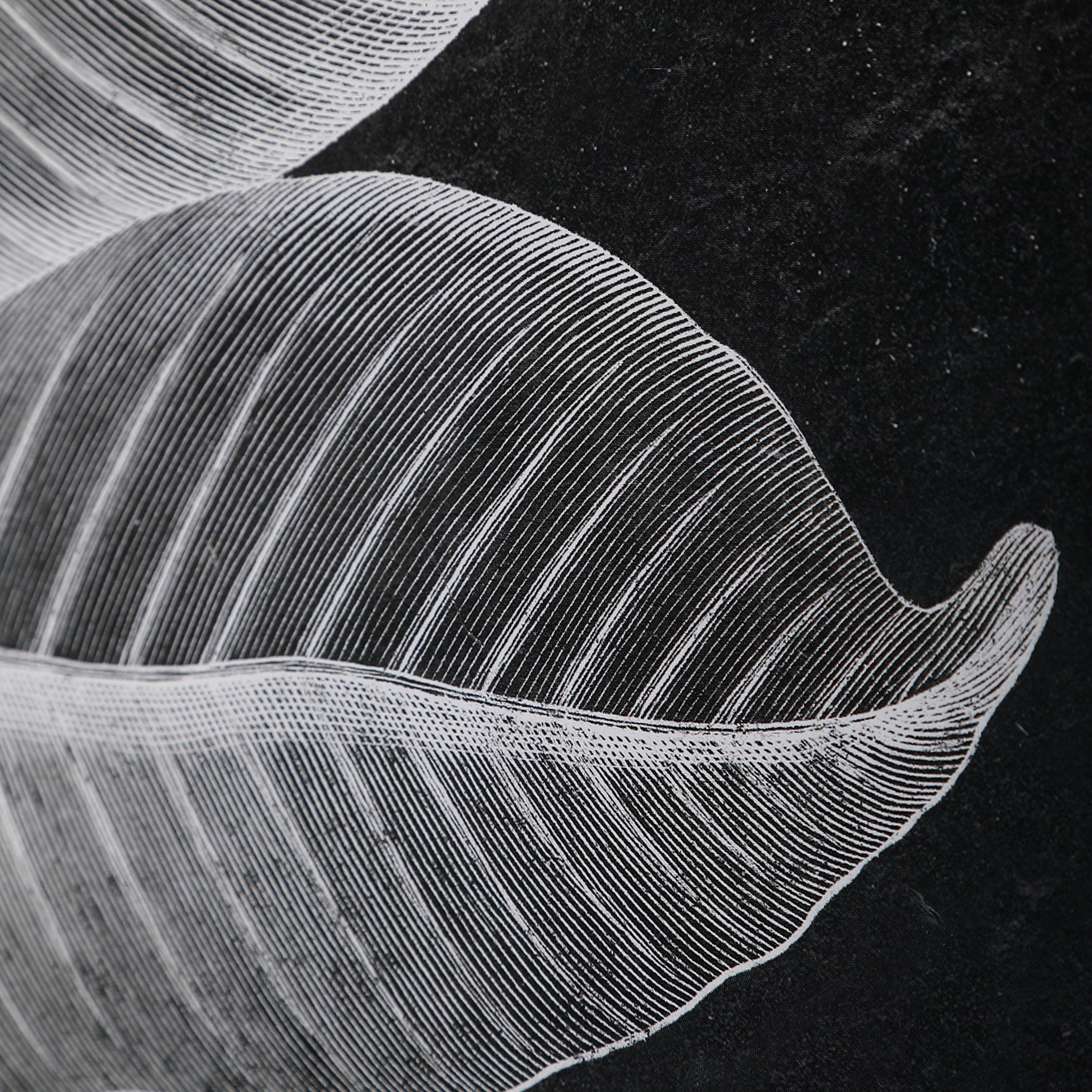 Uttermost Framed Prints Foliage Framed Prints, Set of 6