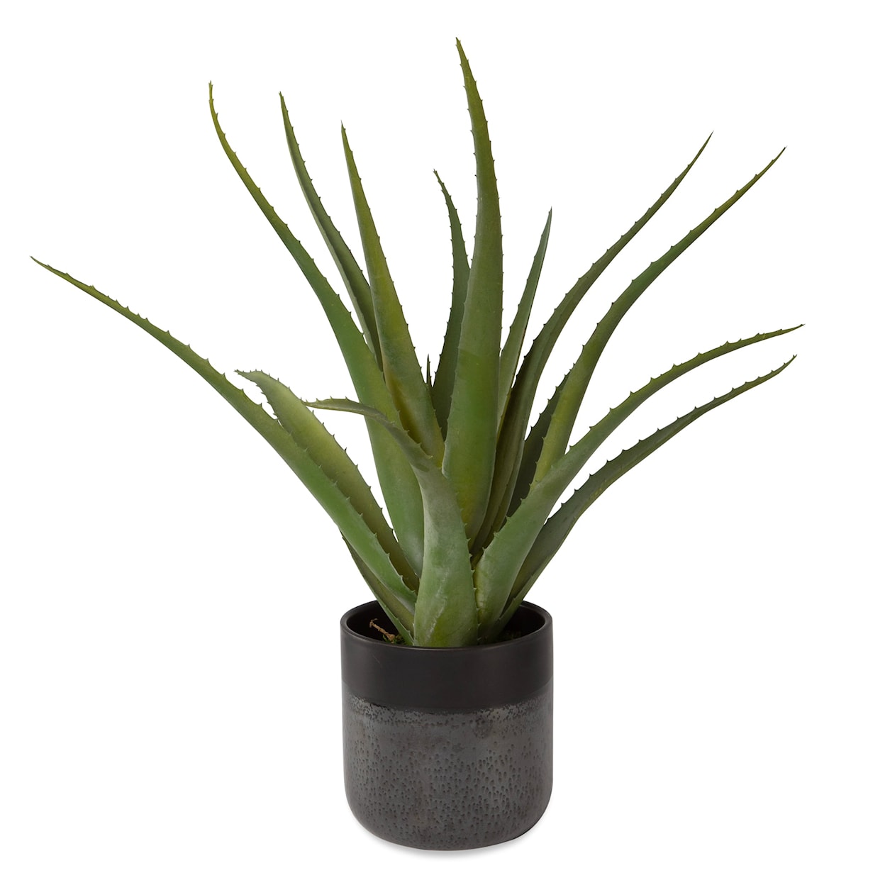 Uttermost Tucson Tucson Aloe Planter