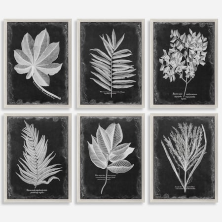 Foliage Framed Prints, Set of 6