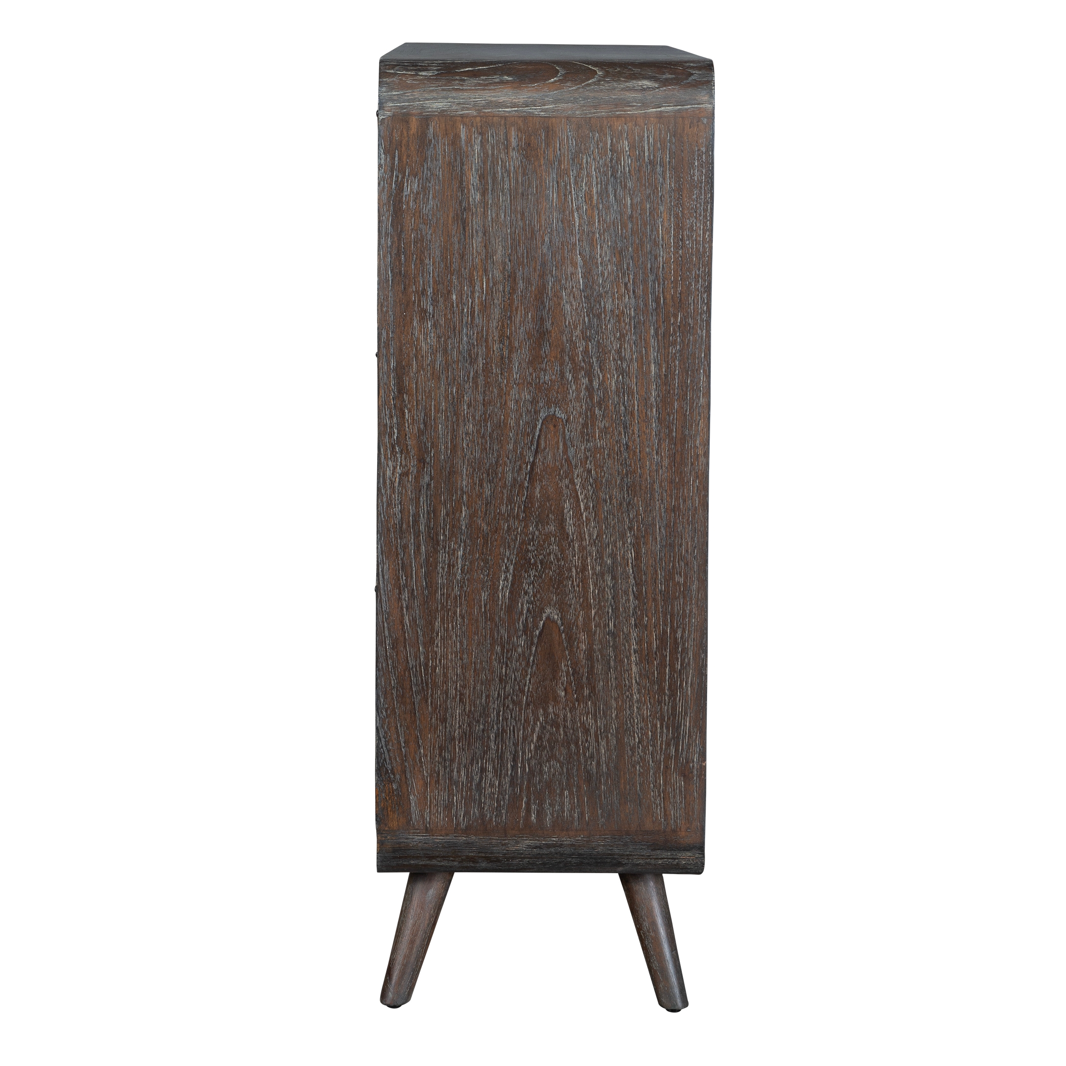 Hausen 2 Door Mid-Century Cabinet