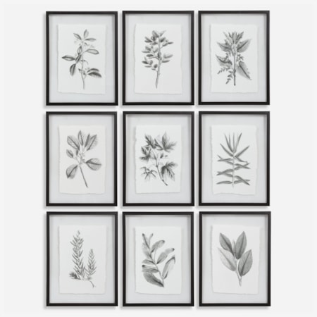 Farmhouse Florals Framed Prints, S/9