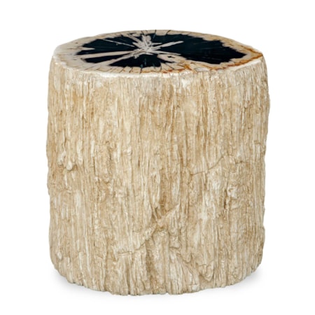 Arco Petrified Wood Top Accent Table