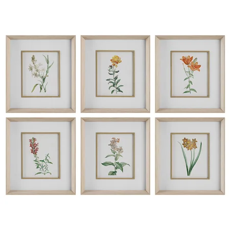 Classic Botanicals Framed Prints Set/6