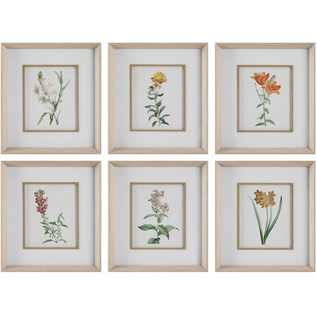 Classic Botanicals Framed Prints Set/6