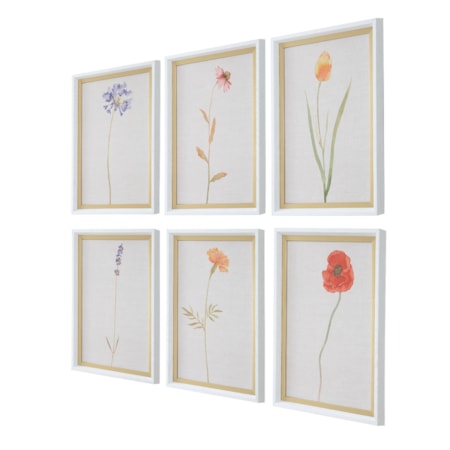 Wild Flourish Framed Floral Prints Set/6