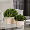 Uttermost Botanicals Preserved Boxwood Oval Domes Set of 2