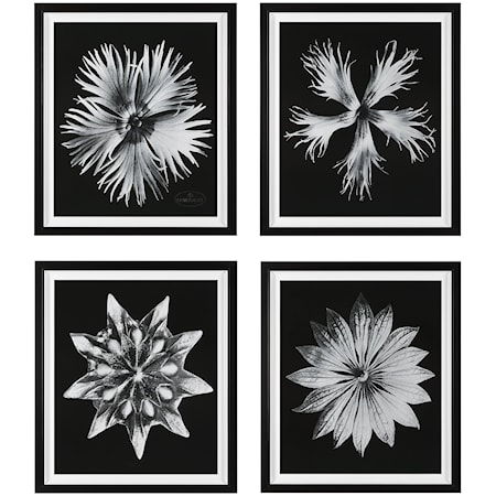 Contemporary Floret Framed Prints S/4