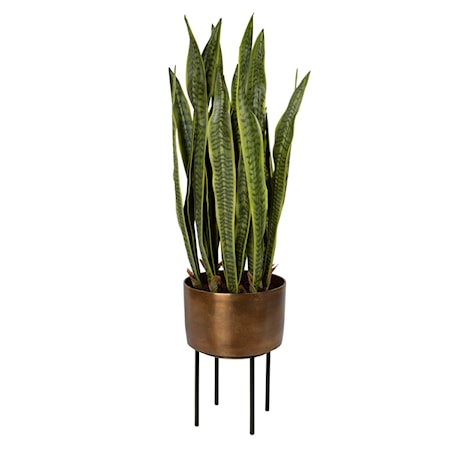 Fasita Brass Planter 2 Cartons