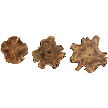 Kalani Teak Wall Art (Set of 3)