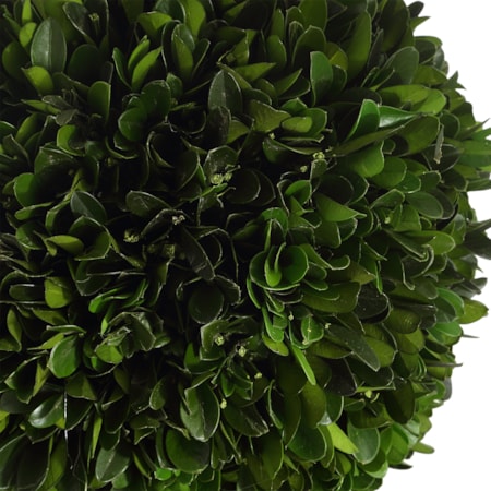 Preserved Boxwood Triple Topiary