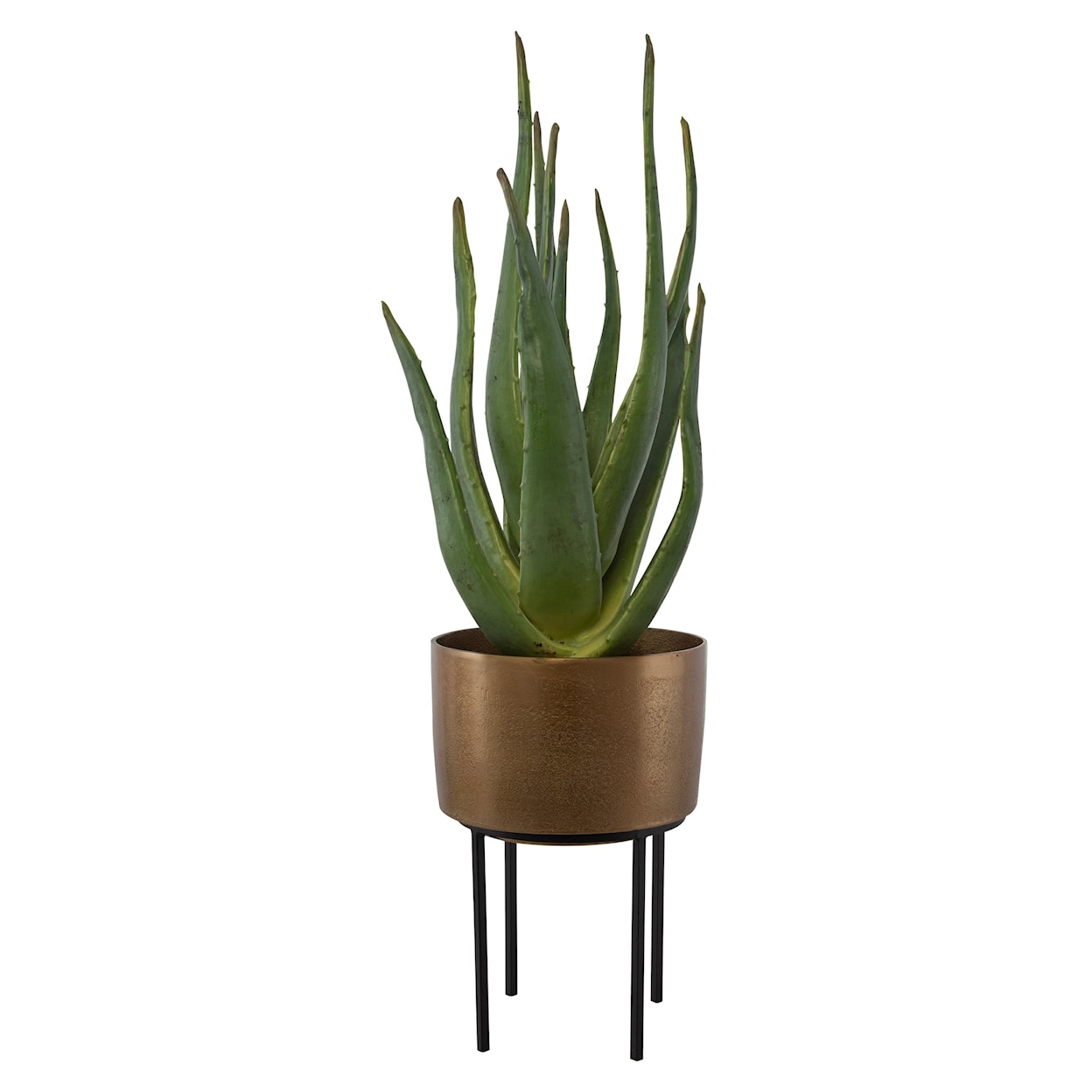 Uttermost Arabia Arabia Aloe Planter