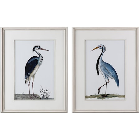 Shore Birds Framed Prints Set of 2