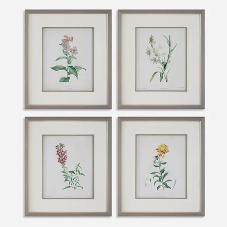 Heirloom Blooms Study Framed Prints Set/4