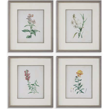 Heirloom Blooms Study Framed Prints Set/4