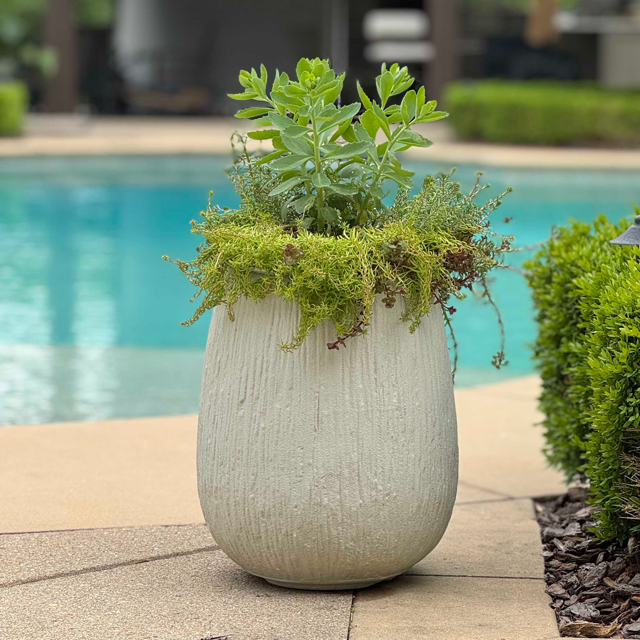 Rustic Ridge Off-White Outdoor Planter