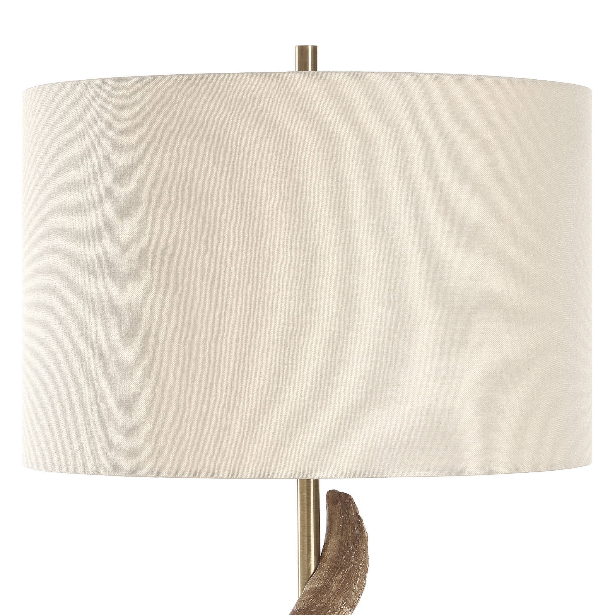 Rams Horn Table Lamp