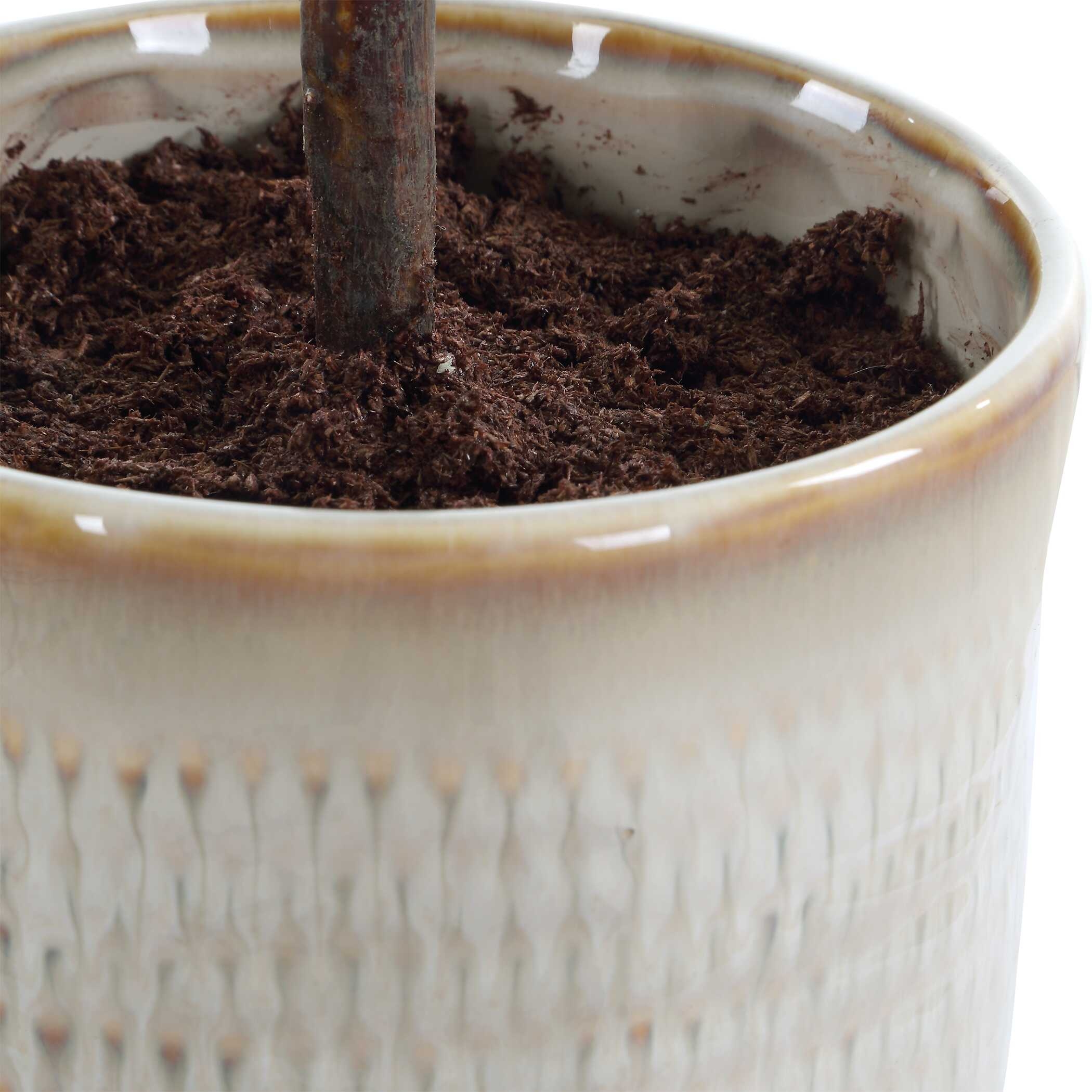 Uttermost Solea Olive Solea Olive Accent & Textured Vase