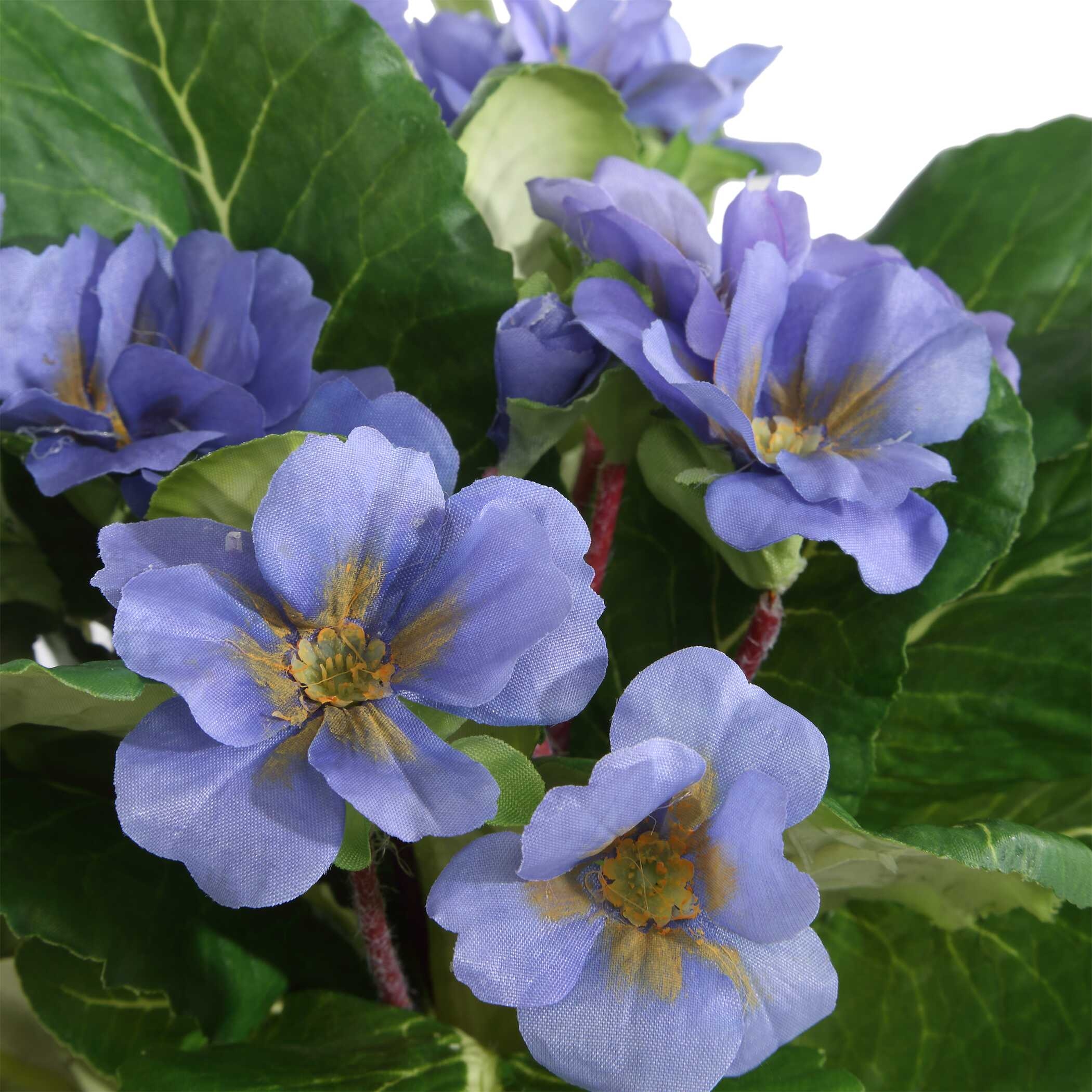 Trilogy Primrose Accents In Vases