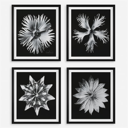 Contemporary Floret Framed Prints S/4