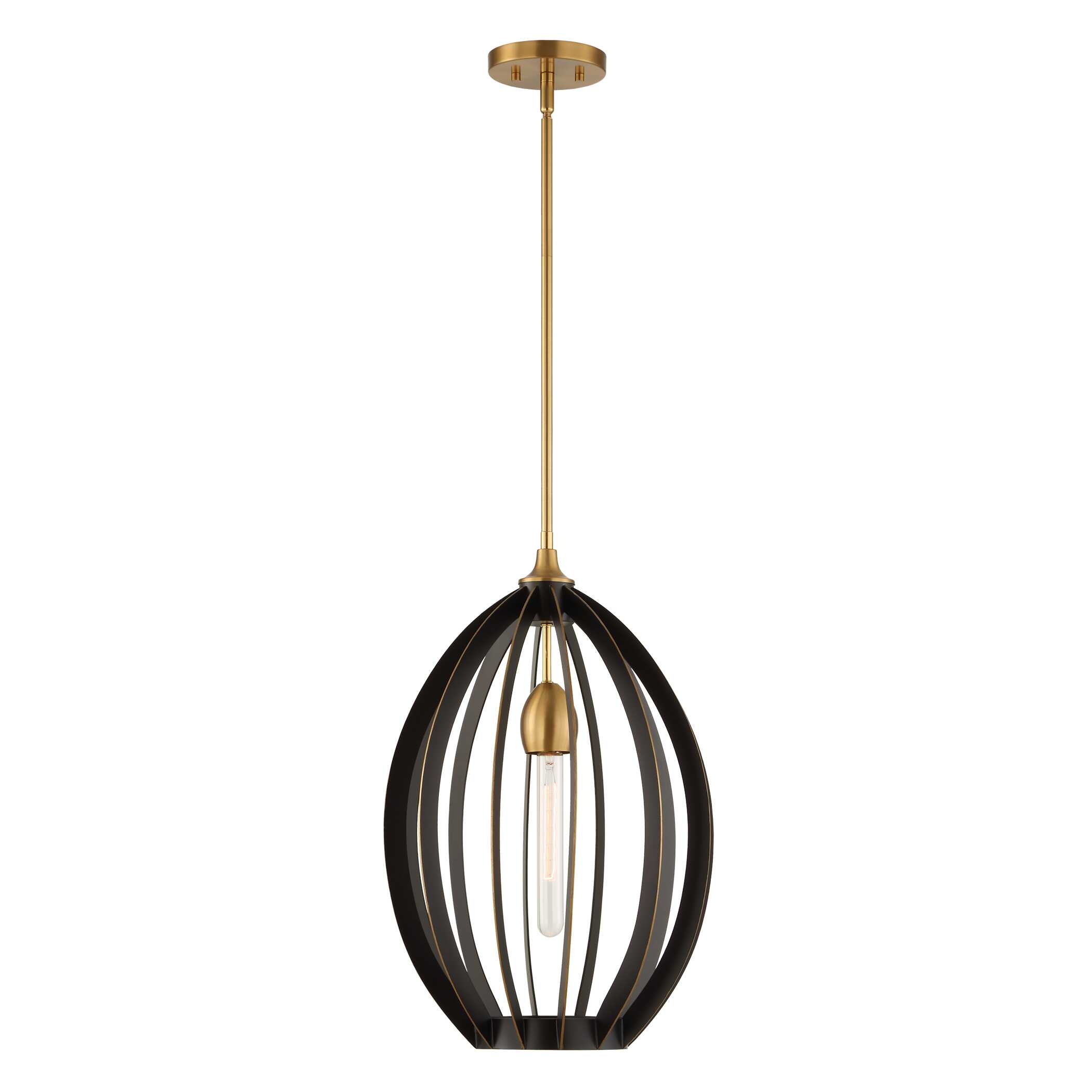 Darby 1 Light Architectural Oval Pendant