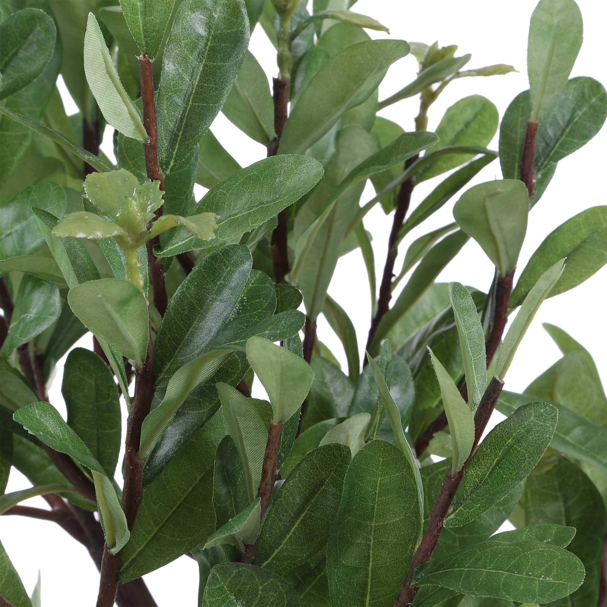 Uttermost Arbor Strawberry Arbor Strawberry Tree