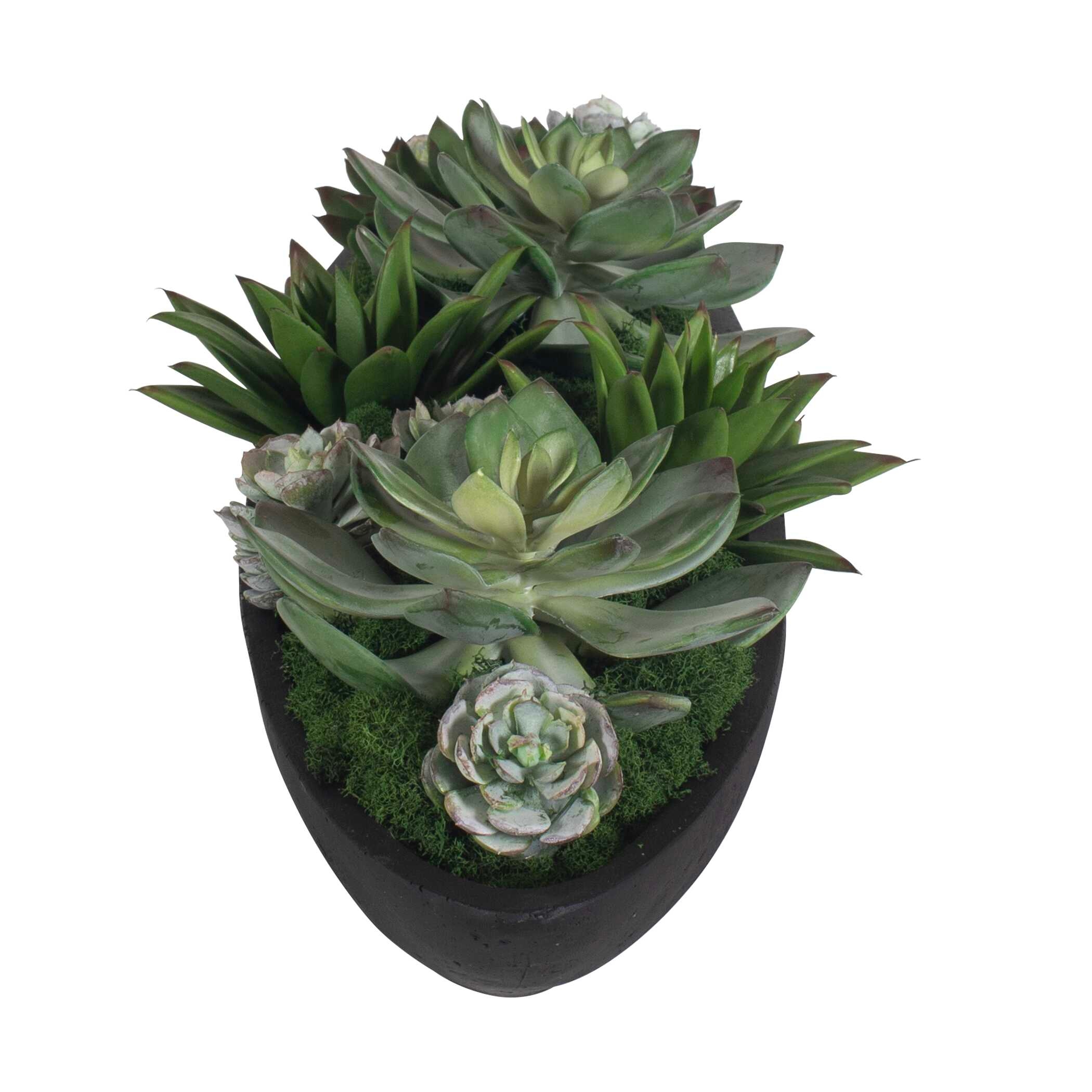 Uttermost Verde Verde Succulent Centerpiece In Bowl