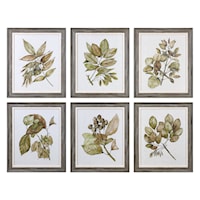 Seedlings Framed Prints (Set of 6)