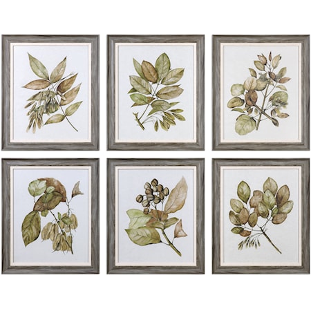 Seedlings Framed Prints (Set of 6)