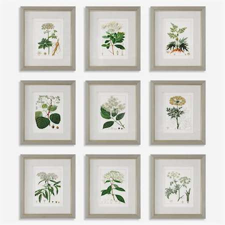 Contemporary Antique Botanicals Framed Prints, Set of 9