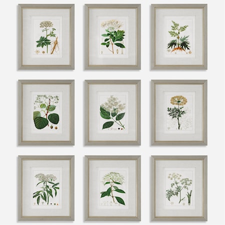 Antique Botanicals Framed Prints, Set of 9