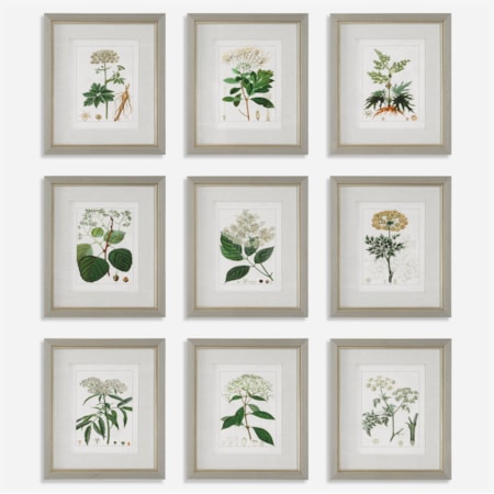 Antique Botanicals Framed Prints, Set of 9