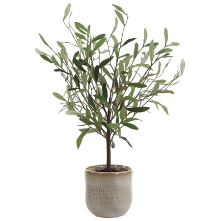 Solea Olive Accent & Textured Vase