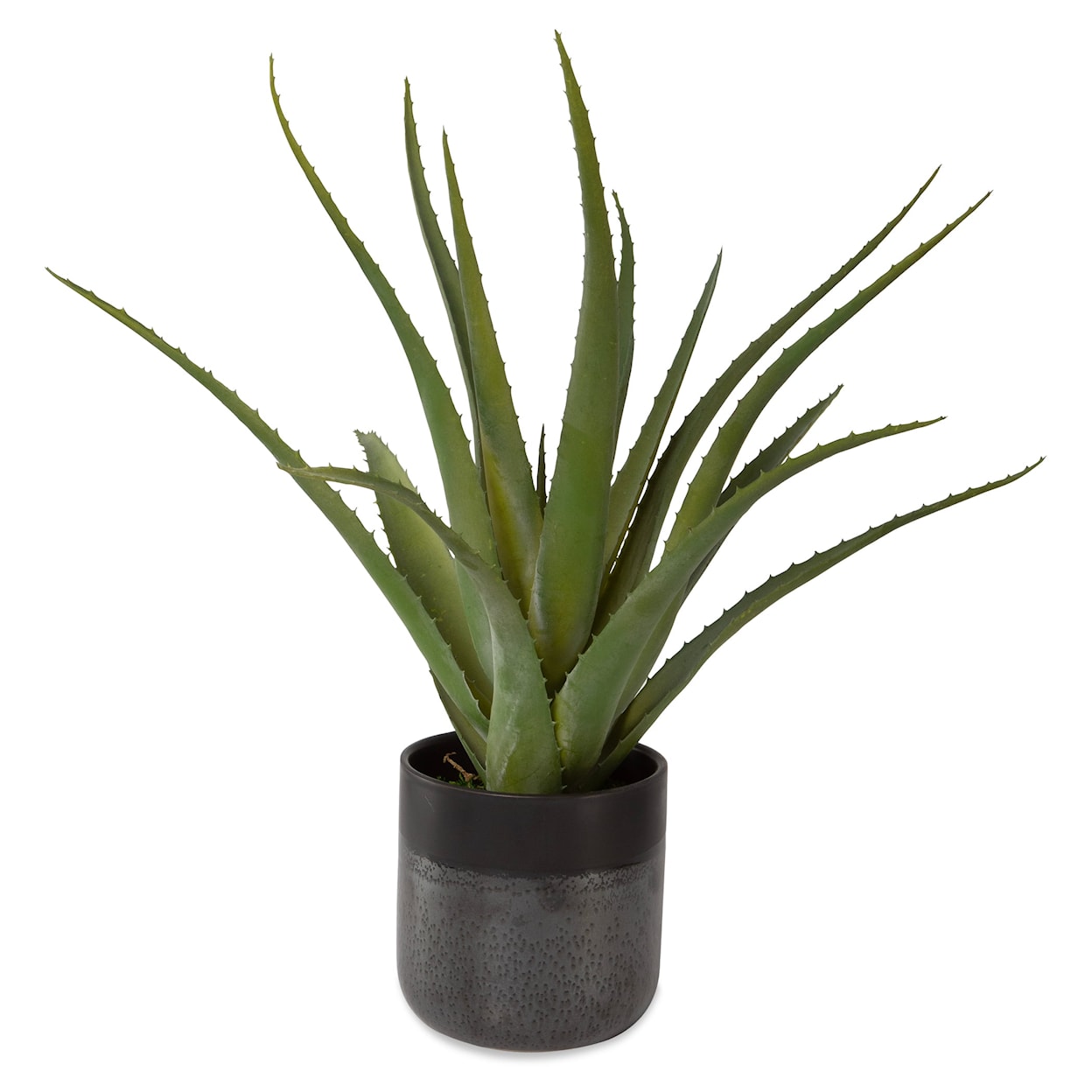 Uttermost Tucson Tucson Aloe Planter