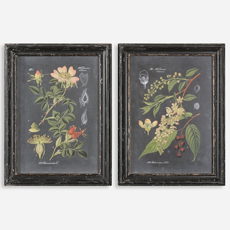 Midnight Botanicals Framed Prints, Set of 2