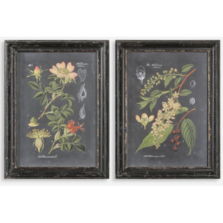 Midnight Botanicals Framed Prints, Set of 2