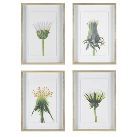 Wildflowers Gold Framed Prints, S/4