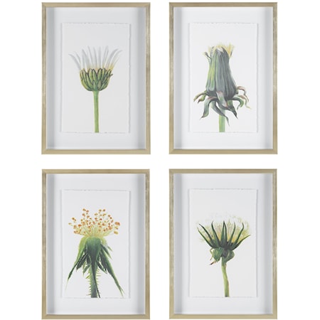 Wildflowers Gold Framed Prints, S/4