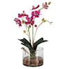 Uttermost Glory Orchid Glory Fuchsia Orchid