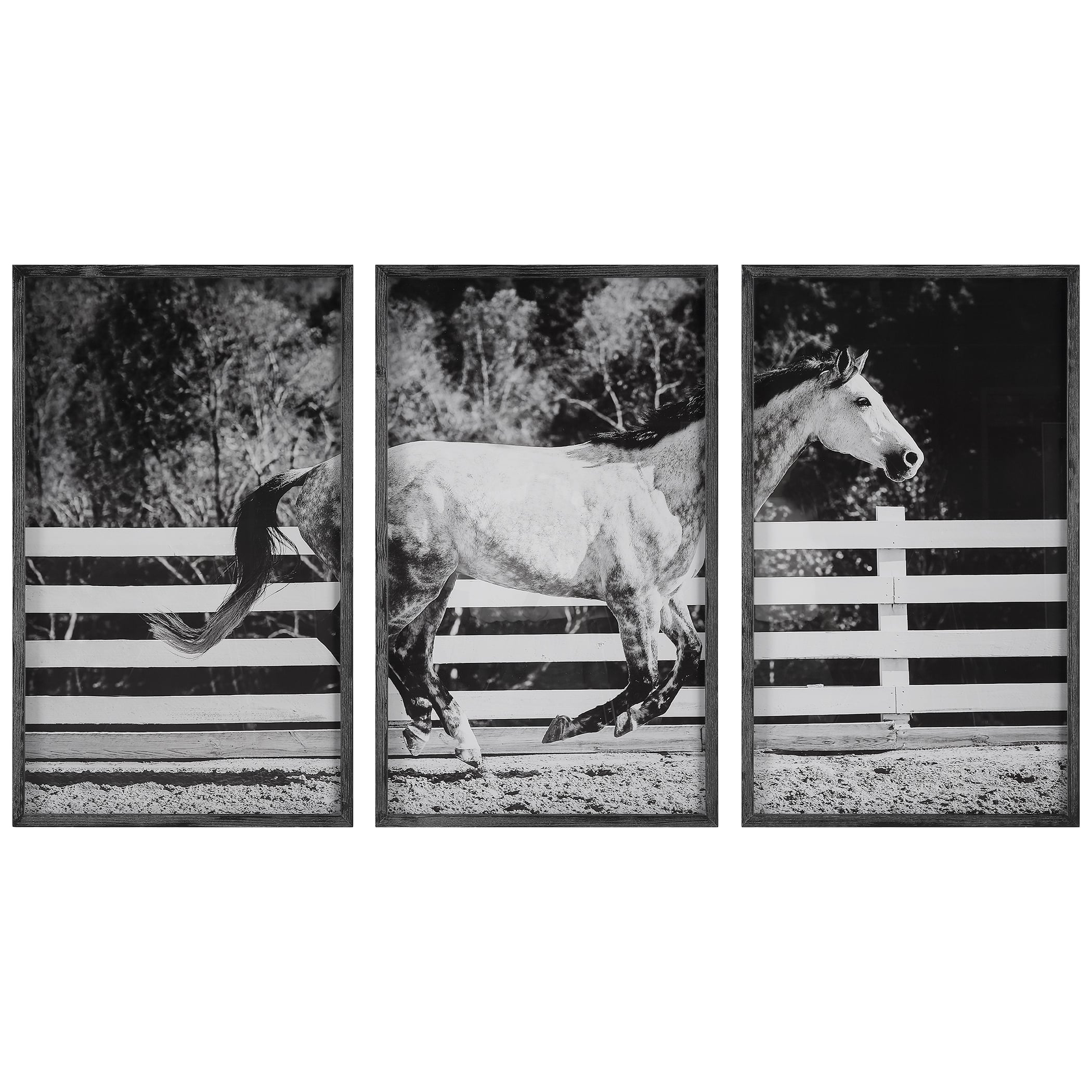 3-Piece Horse Galloping Framed Picture