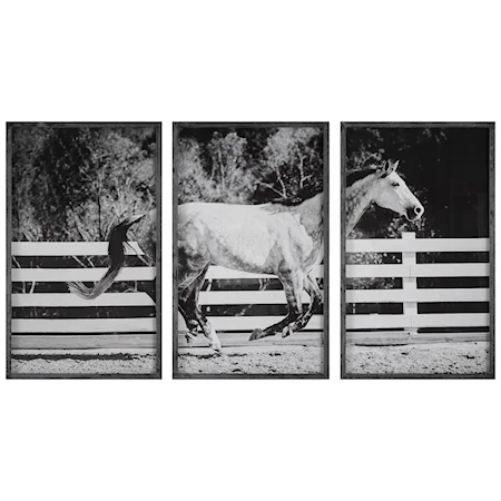 Contemporary 3-Piece Horse Galloping Framed Picture