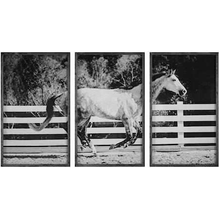 3-Piece Horse Galloping Framed Picture