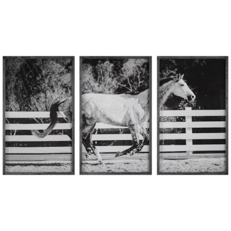 3-Piece Horse Galloping Framed Picture